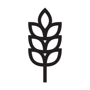Le comptoir du brasseur